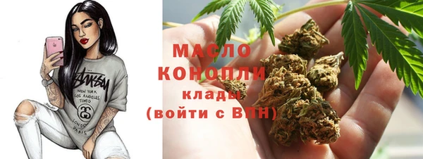 гашик Ладушкин