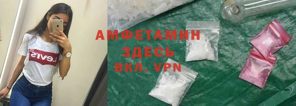 гашик Ладушкин