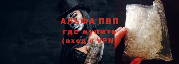 гашик Ладушкин