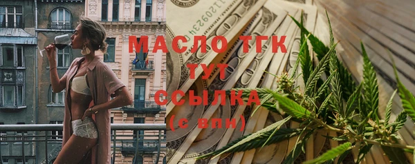 гашик Ладушкин